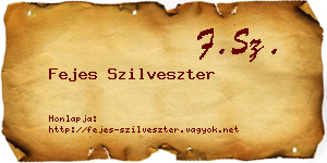 Fejes Szilveszter névjegykártya